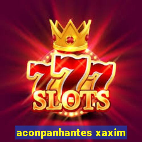 aconpanhantes xaxim